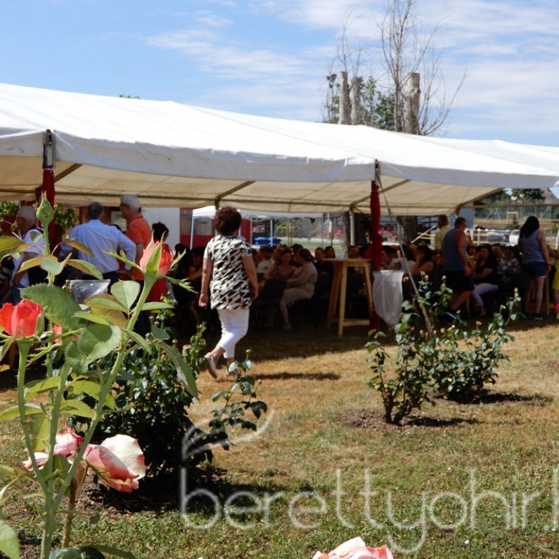 Semmelweis napi party 10